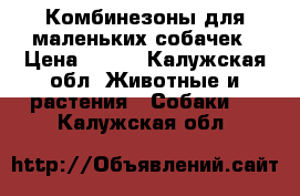 Комбинезоны для маленьких собачек › Цена ­ 500 - Калужская обл. Животные и растения » Собаки   . Калужская обл.